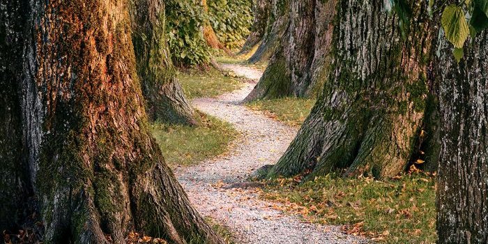 Was ist Bewusstsein?